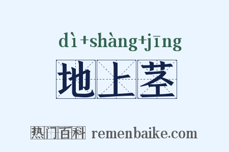 地上茎是什么意思的图片